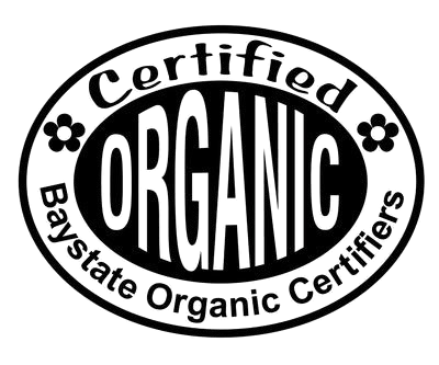 326_small-removebg-preview